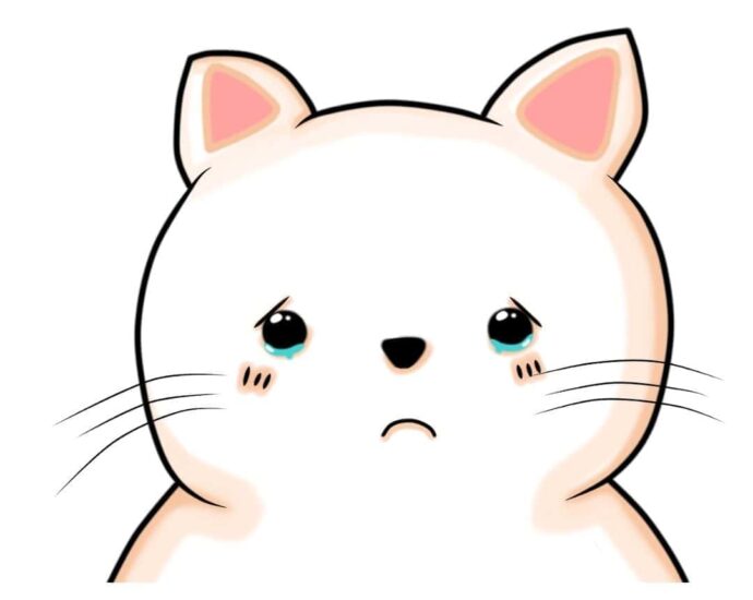 Tionghoa -Inilah Alasan Mengapa Kucing Tidak Termasuk Dalam 12 Shio - 1