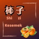 Ronde Almond, Bikin Acara Kumpul Keluarga Tambah Seru Masyarakat Tionghoa biasa mengkonsumsi ronde/tangyuan (Hanzi: 汤圆; Pinyin: Tāngyuán) saat Festival Lampion (Hanzi:元宵节, Pinyin: Yuánxiāo jié), Festival Dongzhi (Hanzi: 冬至, Pinyin: Dōngzhì) atau pada setiap kesempatan diadakan perkumpulan keluarga, misalnya saat pesta pernikahan. 9 Khasiat Buah Kesemek Buah Asal Tiongkok Yang Perlu Diketahui
