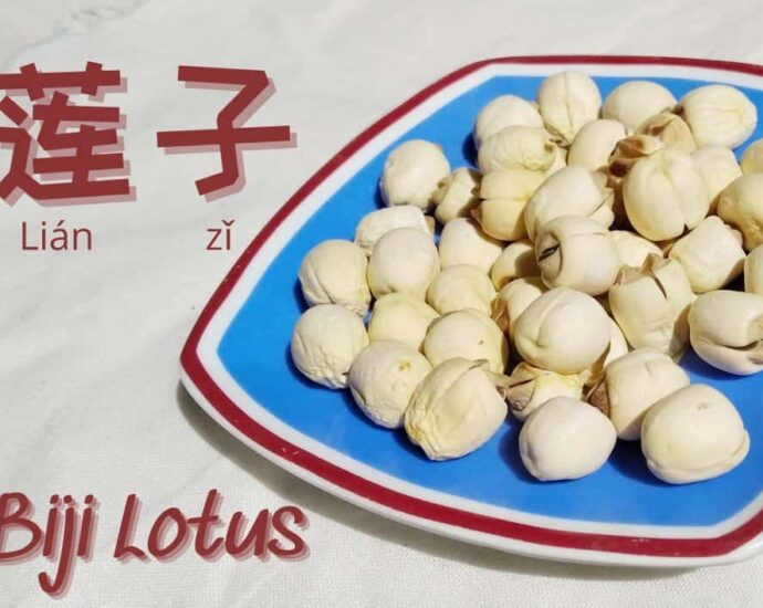 Khasiat Biji Lotus (莲子), Dari Menyembuhkan Diare Hingga Meredakan Insomnia Biji lotus (Hanzi: 莲子, Pinyin: Liánzǐ) adalah jenis biji-bijian herbal yang berasal dari bunga seroja atau lotus (Nelumbo nucifera Gaertn.), sejenis bunga teratai. Khasiat Biji Lotus (莲子), Dari Menyembuhkan Diare Hingga Meredakan Insomnia