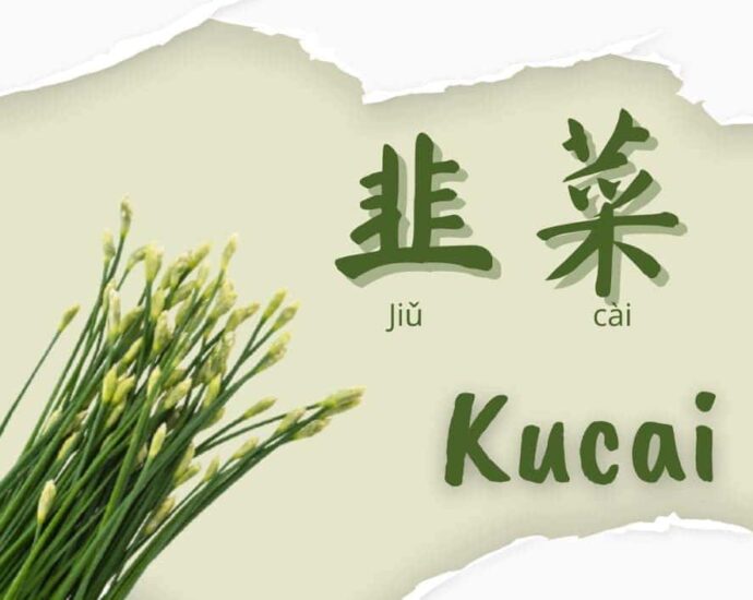 Kucai (韭菜), Jangan Disimpan Lebih dari Semalam Kucai (Hanzi: 韭菜, Pinyin: Jiǔcài) termasuk dalam jenis bawang-bawangan. Dalam bahasa latin disebut Allium tuberosum. Kucai (韭菜), Jangan Disimpan Lebih dari Semalam