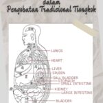 Minuman Dalam Perjamuan Pernikahan Tionghoa Sudah menjadi tradisi bagi pasangan untuk menerima tiga kali bersulang di pesta pernikahan. Organ Dalam - Lima Organ Zang dan Enam Organ Fu (五脏六腑) dalam Pengobatan Tradisional Tiongkok