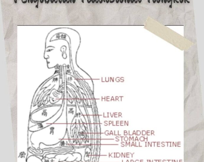 Organ Dalam - Lima Organ Zang dan Enam Organ Fu (五脏六腑) dalam Pengobatan Tradisional Tiongkok Organ dalam pada tubuh manusia digolongkan menjadi lima organ zang dan enam organ fu (Hanzi: 五脏六腑, Pinyin: Wǔzàng liùfǔ). Organ Dalam - Lima Organ Zang dan Enam Organ Fu (五脏六腑) dalam Pengobatan Tradisional Tiongkok