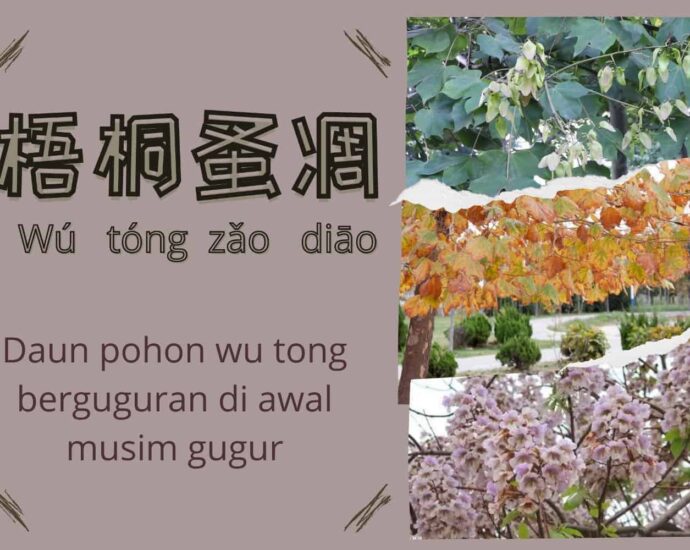Daun Wutong Berguguran di Awal Musim Gugur