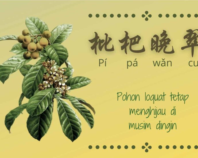 Pohon Loquat Tetap Menghijau Di Musim Dingin (枇杷晚翠)