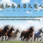 8 Anjuran Pengertian Dasar Tao Pemahaman atau pengertian dasar tentang 8 Anjuran yang selalu disampaikan yaitu sebagai berikut : Idiom Tiongkok : Perjalanan Jauh Membuktikan Kekuatan Seekor Kuda ( 路遥知马力,日久见人心)