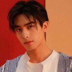 Biodata & Nama Fandom Li Xian 李现 Nama fandom Li Xian adalah 天线宝宝 (dibaca: tiān xiàn bǎo bǎo). Nama fandom ini memiliki arti teletubbies. Mengambil "Xian" dari namanya, dan Bao Bao merupakan istilah sayang. Biodata & Nama Fandom Song Weilong 宋威龙