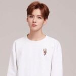 Biodata dan Profil Aktris Tiongkok, He Xuanlin 何宣林 He Xuanlin, lahir pada tanggal 5 Maret di Provinsi Anhui, adalah seorang aktris dan penyanyi dari Tiongkok. Biodata dan Profil Aktor dan Penyanyi Bi WenJun / 毕雯珺
