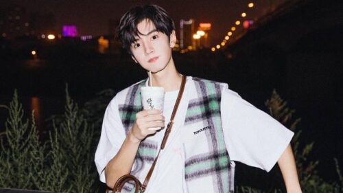 Biodata dan Profil Aktor dan Penyanyi Chen ZheYuan / 陈哲远