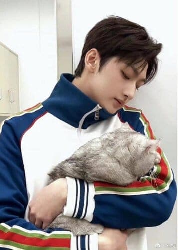 Dijuluki Kembaran Lin Yi, Liu Te Bagikan Potretnya Gendong Kucing Sering dibilang mirip dan dijuluki kembaran Lin Yi. Kini Liu Te bagikan potret barunya dengan kucing. Dijuluki Kembaran Lin Yi, Liu Te Bagikan Potretnya Gendong Kucing