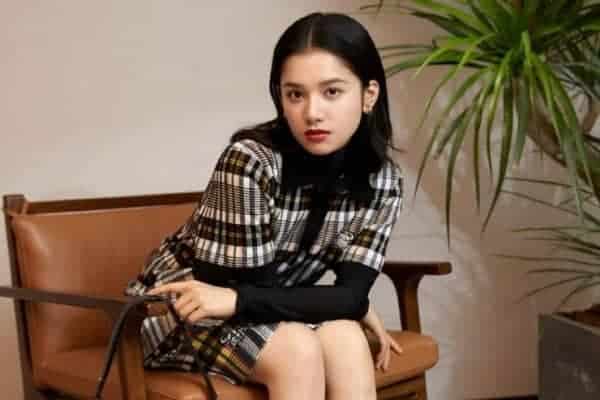 Tionghoa Org - Biodata dan Profil Aktris Tiongkok, Zhang Jingyi 张婧仪 - 1