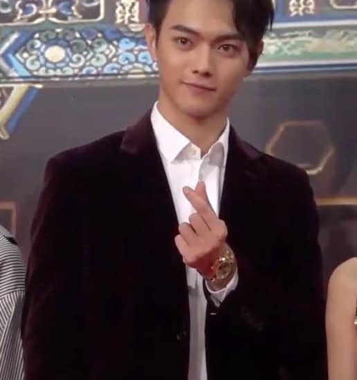 Biodata dan Profil Aktor Xu Kai / 许凯