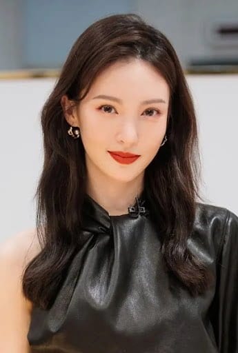Biodata dan Profil Aktris Jin Chen / Gina Jin