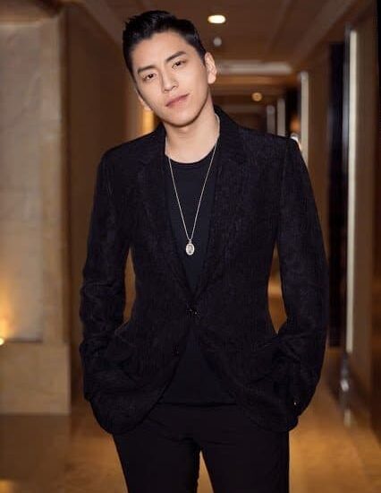 Biodata dan Profil Aktor Darren Wang / Wang Da Lu / 王大陸