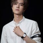 Biodata dan Profil Aktor dan Penyanyi Wang Yi Bo (王一博)