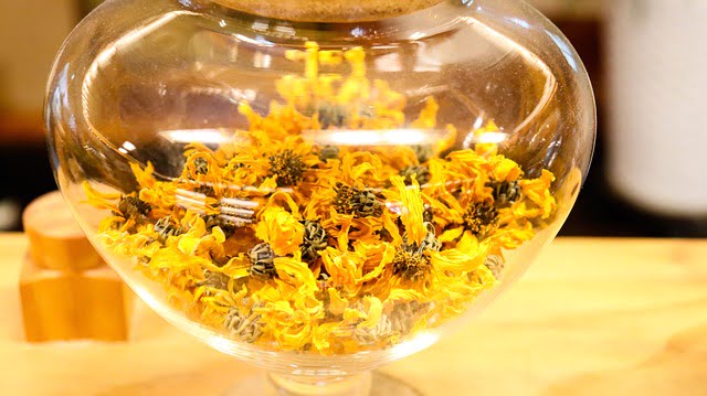 Tips Minum Teh Herbal Populer Tiongkok Teh Bunga Krisan (菊花茶) Banyak minuman Tiongkok yang penuh dengan rasa yang enak dan nutrisi yang luar biasa bermanfaat. Tips Minum Teh Herbal Populer Tiongkok Teh Bunga Krisan (菊花茶)
