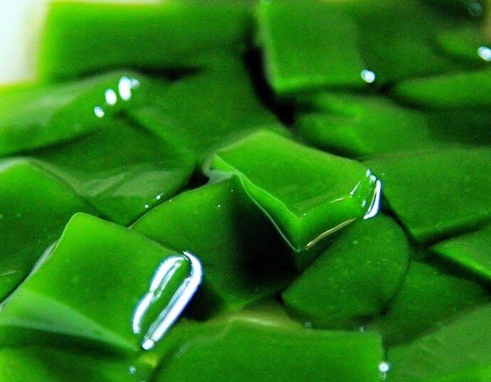 Resep Cara Membuat Cincau Cincau dibuat dari tumbuhan penghasil cincau. Resep Cara Membuat Cincau