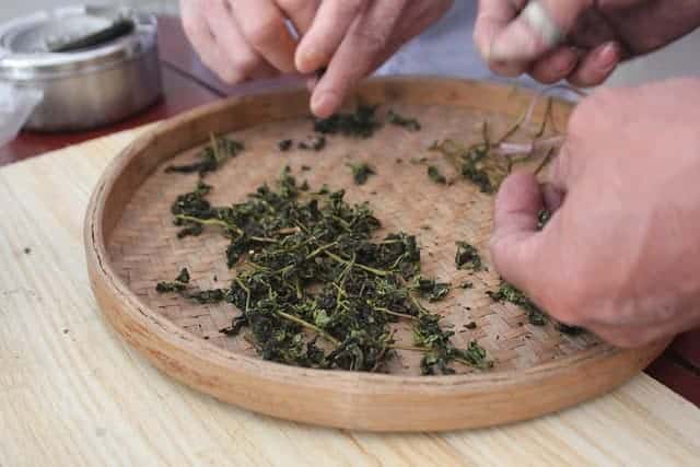 Khasiat Menakjubkan Teh Tieguanyin (铁观音) Tieguanyin (Hanzi: 铁观音, Pinyin: Tiě guānyīn) termasuk salah satu jenis teh oolong yang terkenal di Tiongkok. Khasiat Menakjubkan Teh Tieguanyin (铁观音)