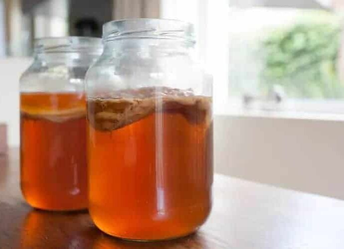 Kombucha (康普茶), Teh Fermentasi Asal Tiongkok