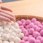 Selamat Festival Dongzhi 冬至快乐 Sinar matahari yang hangat di titik balik matahari musim dingin, saya berharap Anda mendapatkan kehangatan, kebahagiaan, dan kesehatan! Kosakata Bahasa Tionghoa Tentang Festival Dongzhi aka Festival Ronde (冬至节)