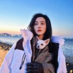 Tionghoa Org - Fan Bingbing Dikabarkan Telah Selesaikan Syuting Untuk Penampilan Spesial di Drakor “Insider” - 1