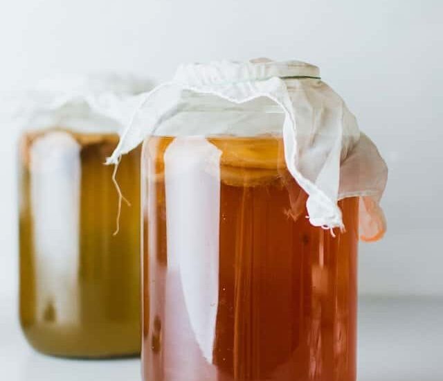 Kombucha (康普茶) - Minuman Asal Tiongkok Yang Punya Sejagat Khasiat Bagi Kesehatan Tubuh Kombucha berasal dari wilayah Laut Bohai Tiongkok, dan kemudian dibawa ke Uni Soviet. Kombucha (康普茶) - Minuman Asal Tiongkok Yang Punya Sejagat Khasiat Bagi Kesehatan Tubuh