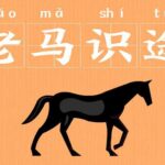 Arti Pepatah Tiongkok 一心二用 Yi Xin Er Yong Sambil menyelam minum air Idiom Tiongkok - Kuda Tua Tahu Jalan Yang Telah Dilalui (老马识途)