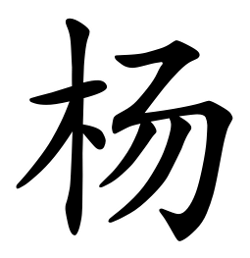 Asal Usul Marga Yang (杨) Shangfu (尚父) adalah anak dari Kaisar Xuan dari Dinasti Zhou. Dia ditunjuk sebagai penguasa negara Yang (杨). Asal Usul Marga Yang (杨)